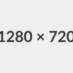 Cosa studiare per diventare SEO?