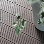 WPC: materiale innovativo per ogni esigenza