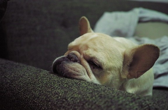 Rimedi naturali contro l'insonnia