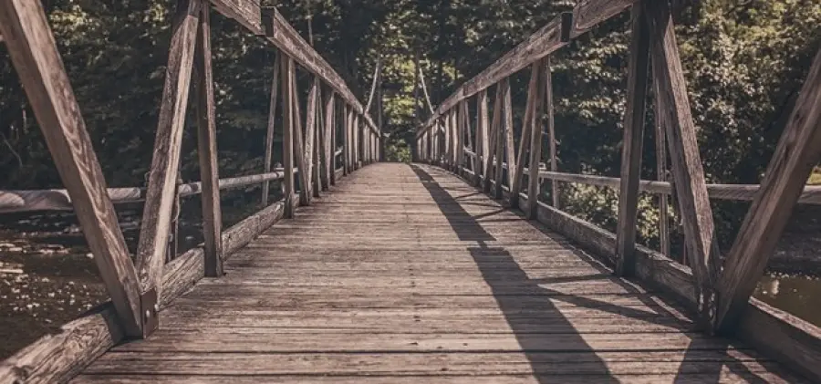 Come trasformare i vizi in virtù