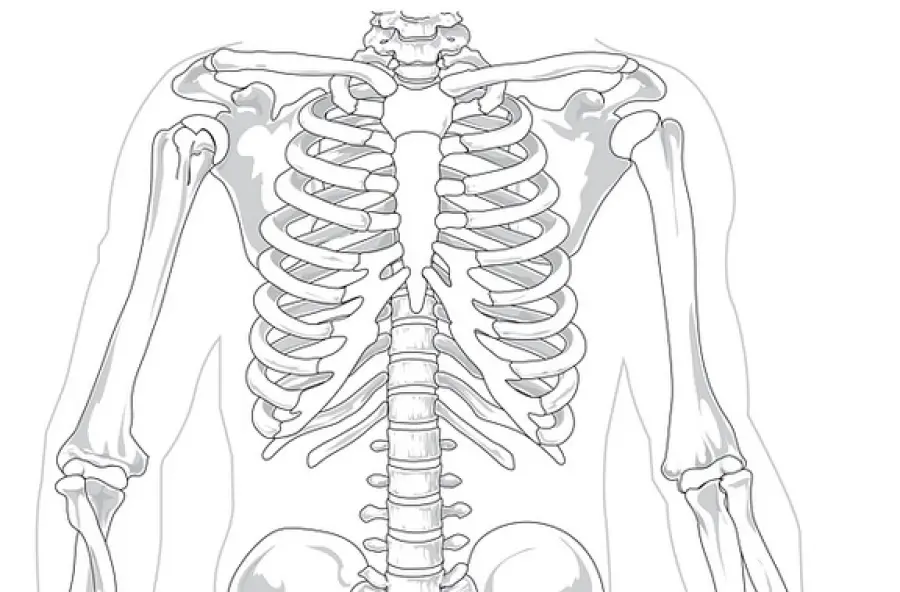 Costola incrinata: cause e rimedi