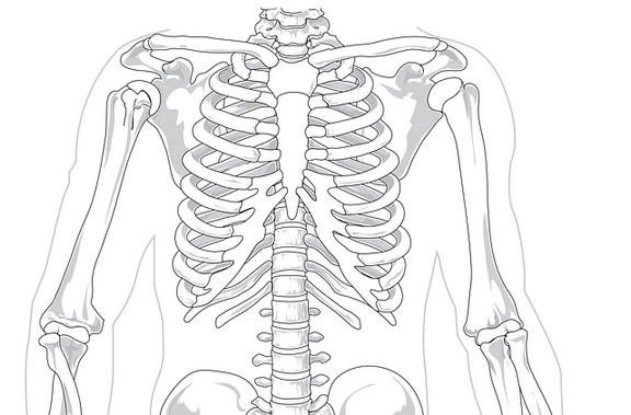Costola incrinata: cause e rimedi